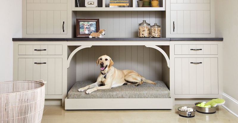 Pet-Friendly Cleaning: Strategies for Keeping Your Home Clean and Fresh with Furry Friends 10 Pet-Friendly Cleaning